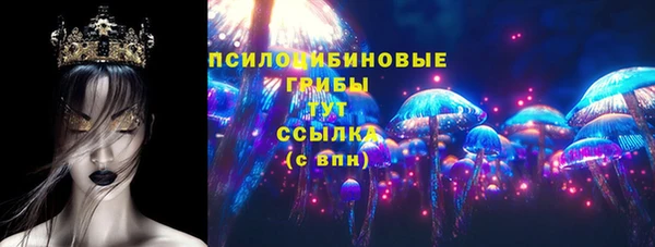 гидра Няндома