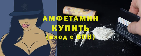гидра Няндома