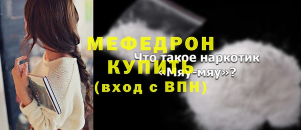 гидра Няндома
