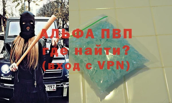 гидра Няндома