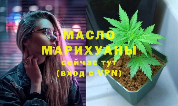 гидра Няндома