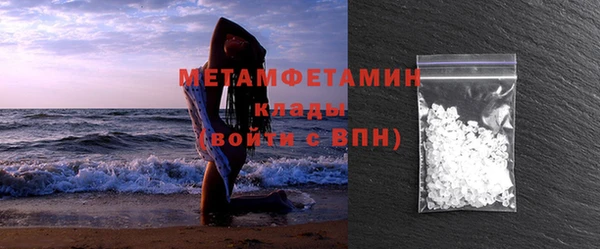 гидра Няндома