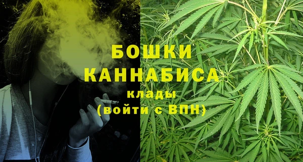 гидра Няндома