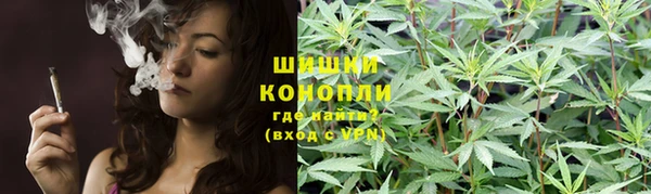 гидра Няндома
