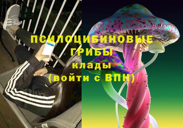 ALPHA-PVP Нязепетровск