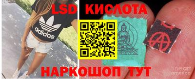 шишки Заволжье