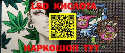 spice Берёзовский