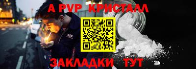 шишки Заволжье