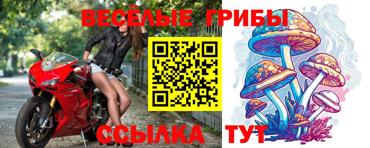 Псилоцибиновые грибы MAGIC MUSHROOMS  Вход с VPN  Менделеевск 