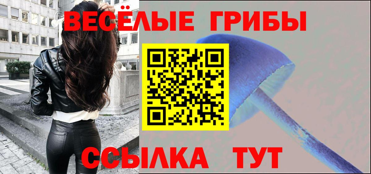 Псилоцибиновые грибы GOLDEN TEACHER  как найти закладки  Менделеевск 